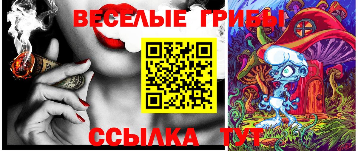 Кунгур  дарнет шоп  Вход с VPN  Псилоцибиновые грибы мухоморы 